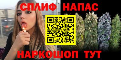 гидра Донской