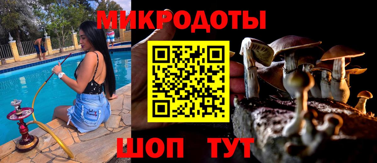 как найти наркотики  Галлюциногенные грибы GOLDEN TEACHER  Вход с VPN  Псилоцибиновые грибы Psilocybe  Михайловка 